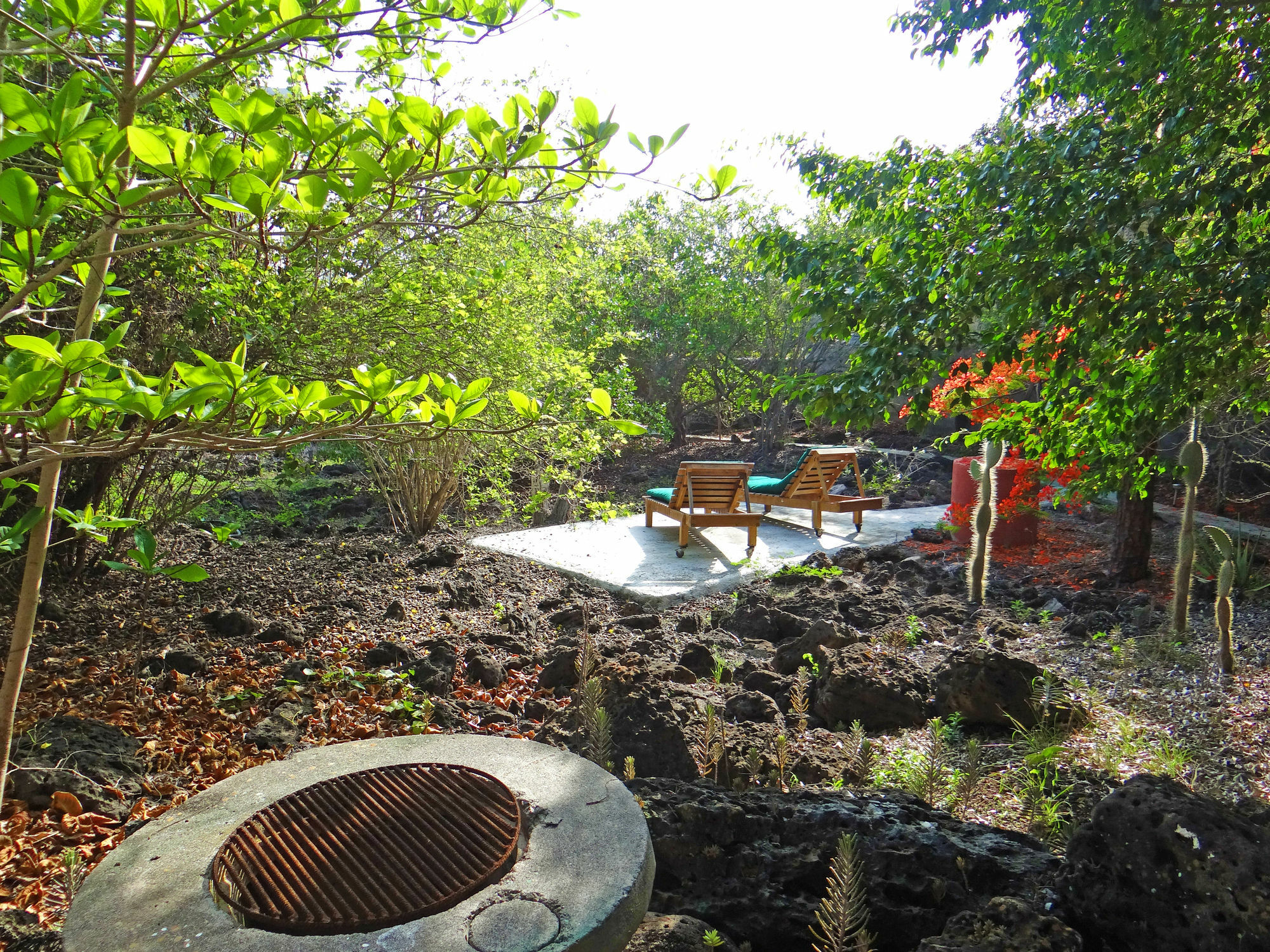 Galapagos Chalet Puerto Ayora  Luaran gambar
